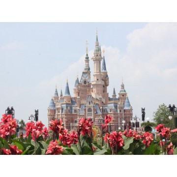 8D6N Shanghai/Changhshu-Shanghu/Suzhou/Wuxi/Hangzhou/Wuzhen Xizha