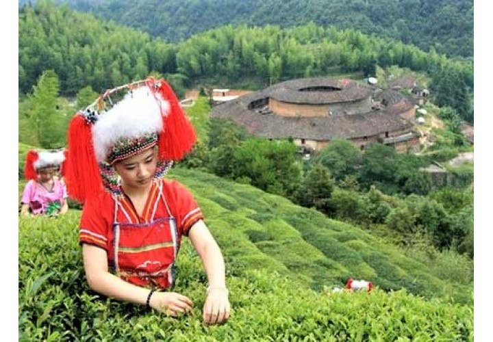 6D5N Xiamen + Shantou