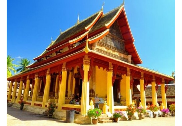 4D3N Laos Evergreen