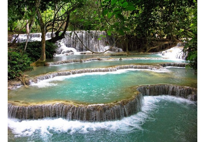 4D3N Laos Evergreen