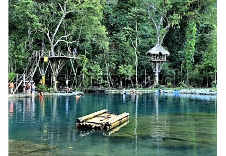 4D3N Laos Evergreen